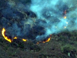 Forest fire spreads in Hoang Lien Son National Park ảnh 1 Forest fire spreads in Hoang Lien Son National Park ảnh 1
